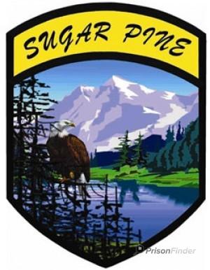 Sugar Pine Conservation Camp #9